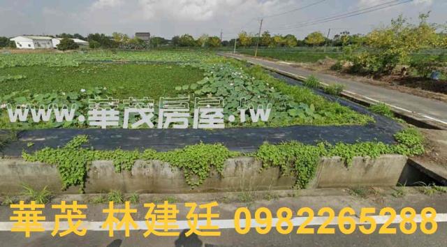 官田法拍農地-2