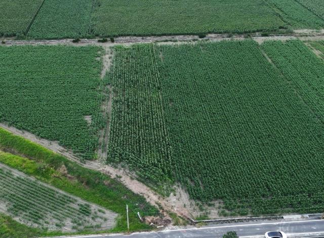 台南房屋柯辣媽鹽水區鹽水近台灣詩路525農地