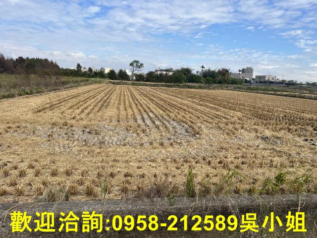 新竹農地-4