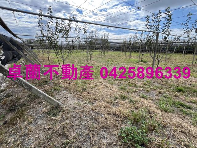 苗栗卓蘭農地-2