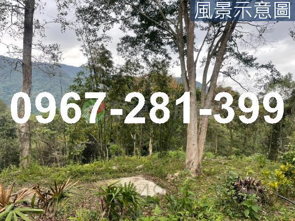 苗栗南庄農地-9