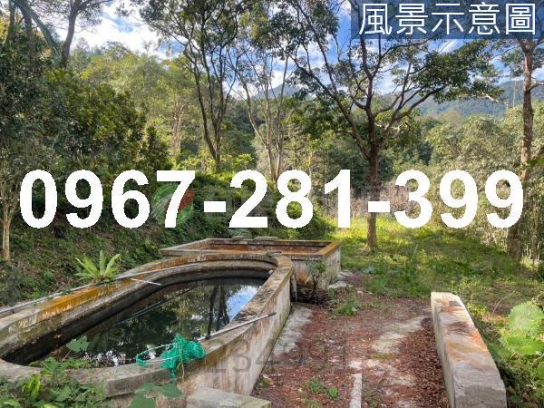 苗栗南庄農地-11