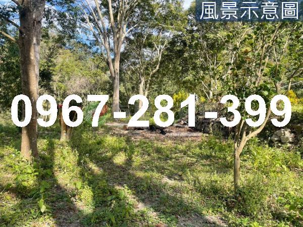 苗栗南庄農地-8