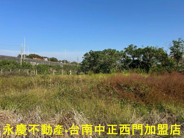 台南麻豆農地-8