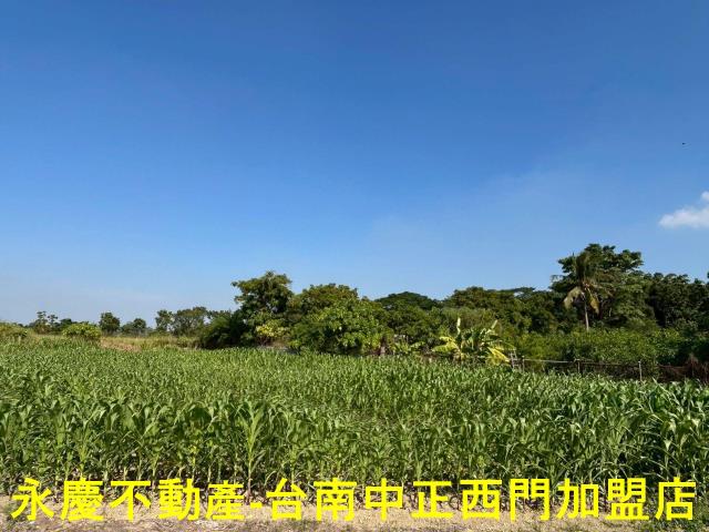 台南新化農地-1
