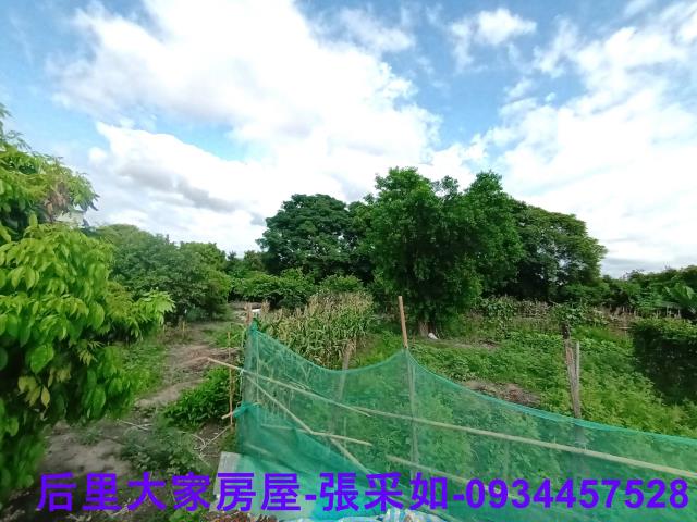 所種植的農作物