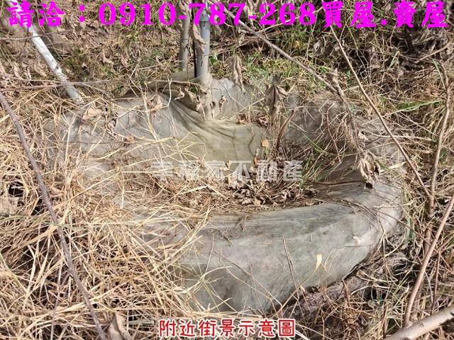 台南楠西農地-3