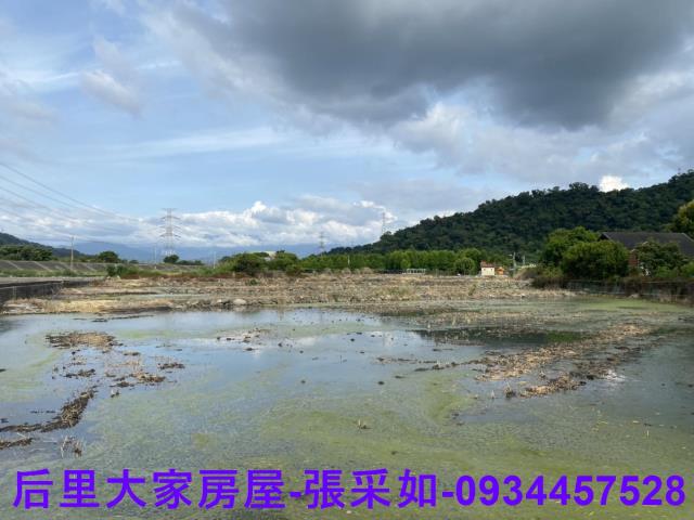 台中后里農地-1