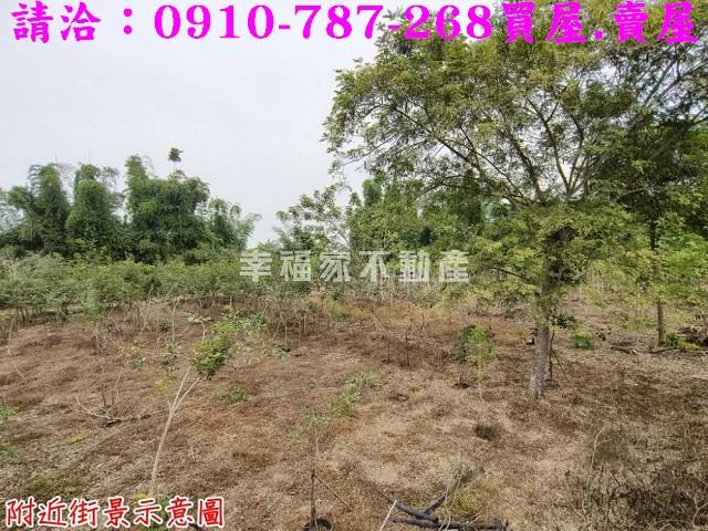 台南新市農地-13