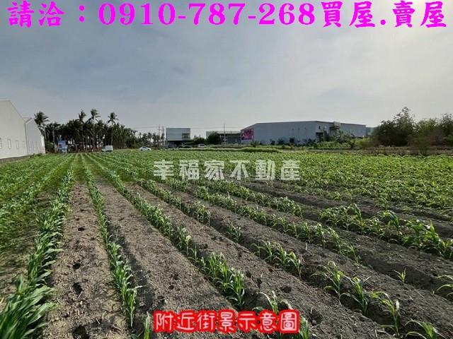 台南安南農地-6