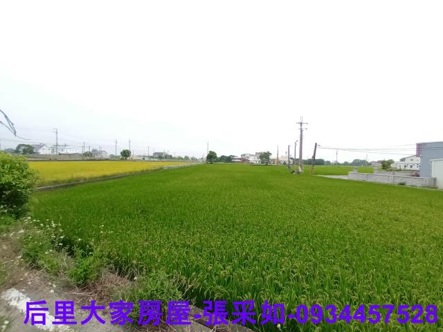 苗栗苑裡農地-2
