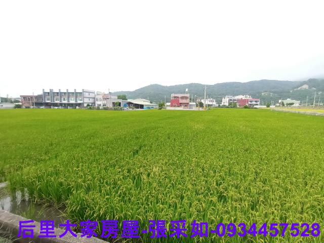 苗栗苑裡農地-6