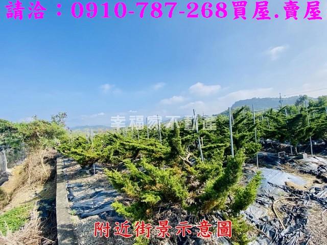 台南楠西農地-11