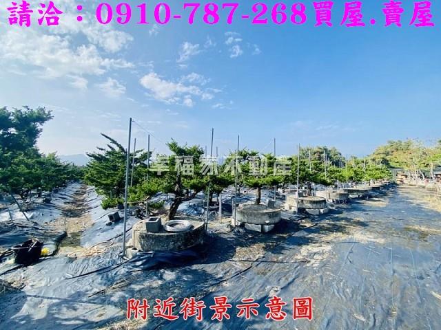 台南楠西農地-5