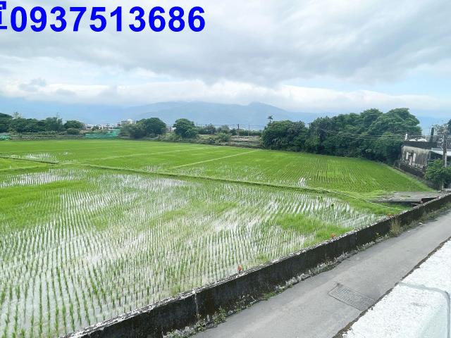 宜蘭礁溪農地-10