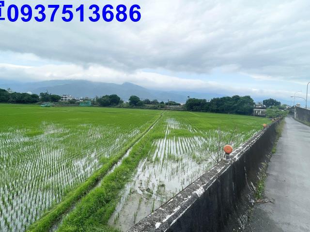 宜蘭礁溪農地-12