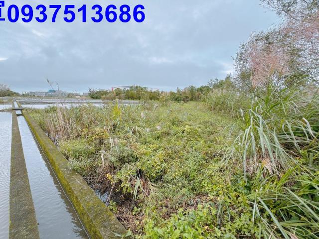 宜蘭宜蘭市農地-7