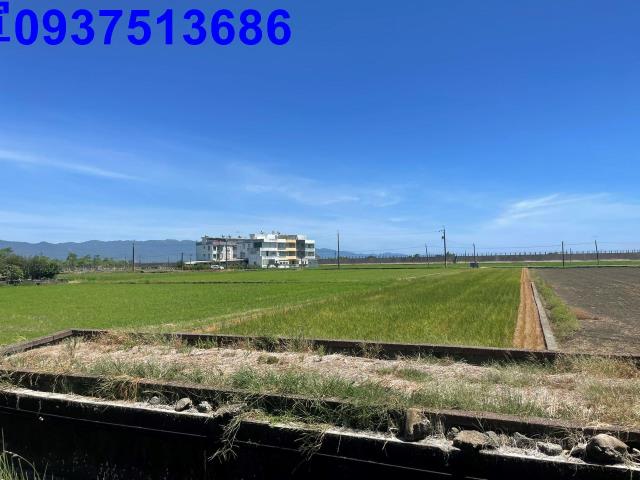 宜蘭壯圍農地-3