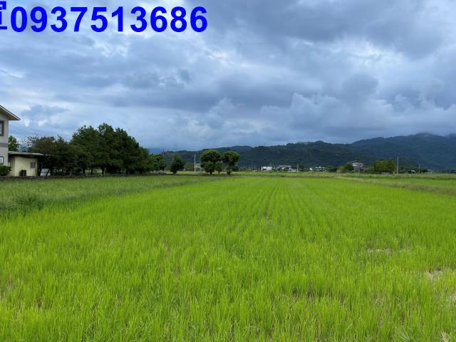 宜蘭三星農地-4