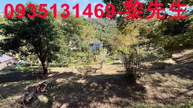 新竹峨眉農地-3