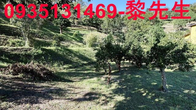 新竹峨眉土地新竹峨眉農地