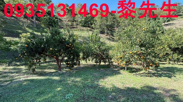 新竹峨眉農地-9