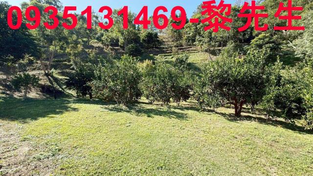 新竹峨眉農地-11