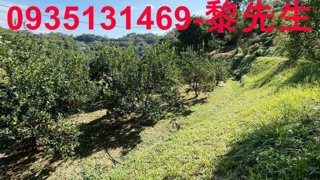 新竹峨眉農地-9