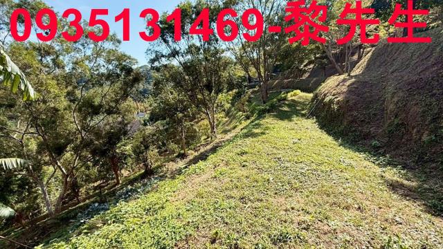 新竹峨眉農地-1