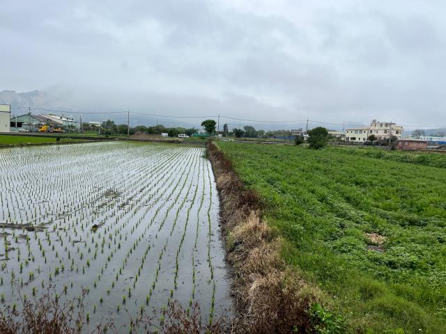 台中農地-2