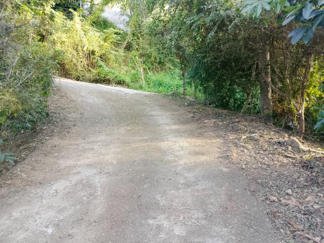 台中太平農地-12