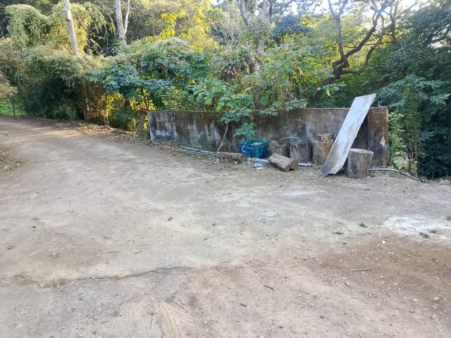 台中太平農地-13