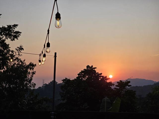 台中太平農地-8