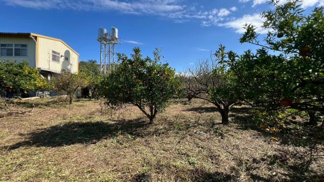 苗栗頭份農地-13