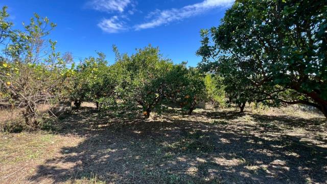 苗栗頭份農地-2