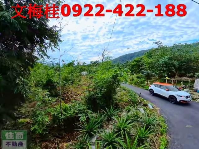 宜蘭員山農地-9