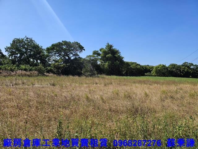 桃園蘆竹農地-1