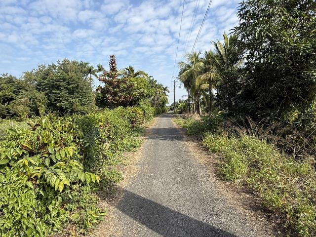 鹽埔農地-4