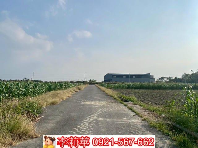 七股樹林近春園一般農