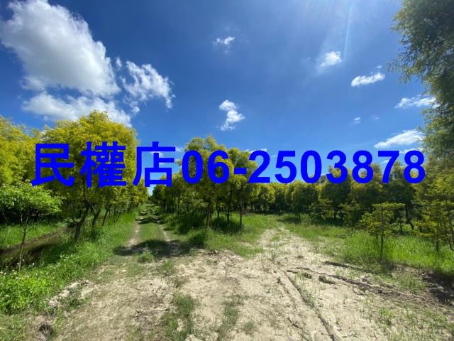 台南六甲農地-9