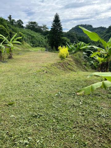 台中霧峰農地-14