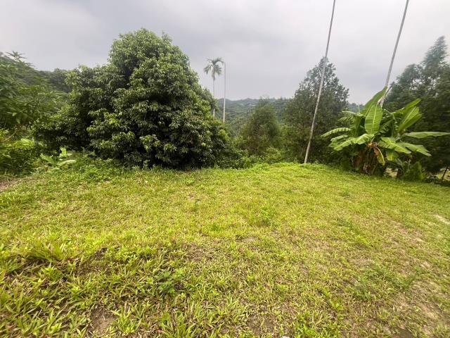 台中霧峰農地-8