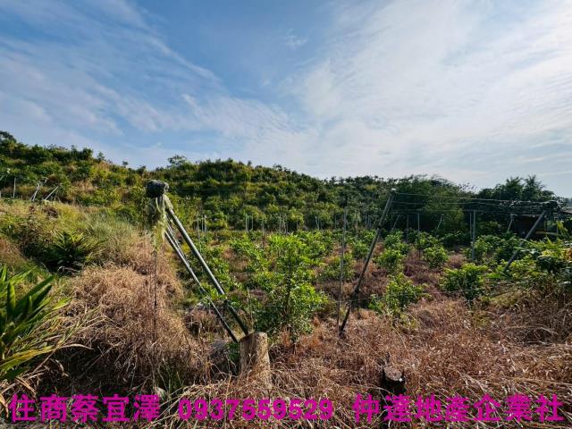 台南左鎮農地-8