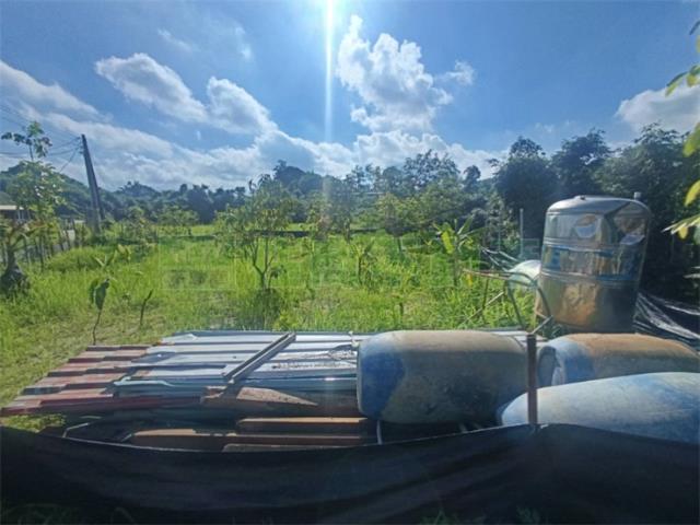 高雄大社農地-14