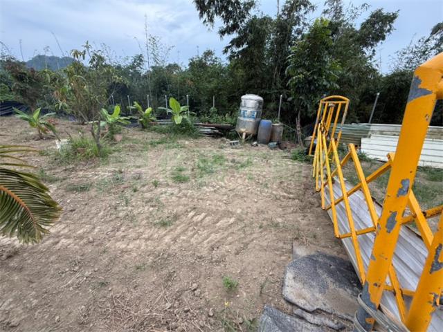 高雄大社農地-2