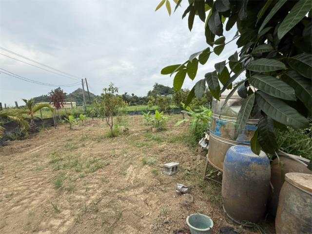 高雄大社農地-5