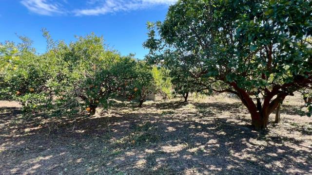 苗栗頭份農地-11