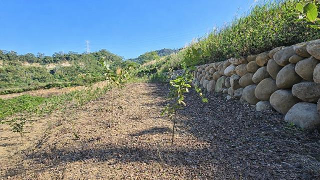 新竹北埔農地-7