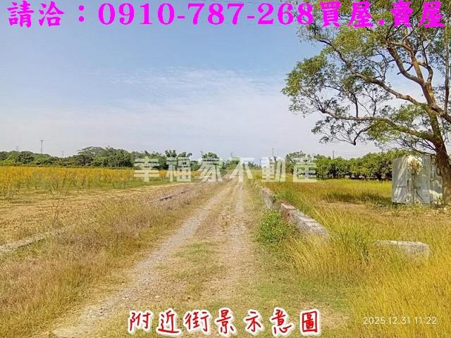 台南新市農地-1