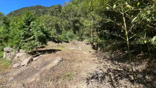 新竹尖石農地-12